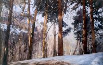 This pine wood forms the backdrop to the artist's garden.